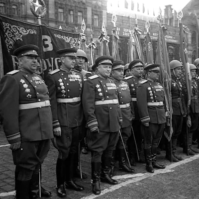 В войска начала поступать новая парадная форма