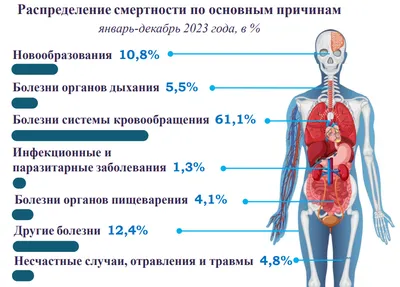 Сыпь: виды, причины, протокол действий | Академия врачей UNIPROF | Дзен