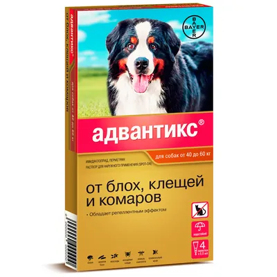 Inspector, капли от внешних и внутренних паразитов для собак массой 40-60  кг, цены в Самаре, характеристики, фото, от глистов в интернет-магазине  Клампи