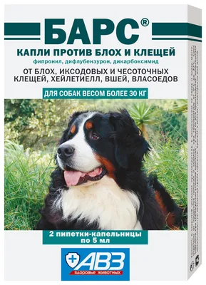 Подкожный клещ у собак: причины, симптомы, лечение, профилактика демодекоза  у собак