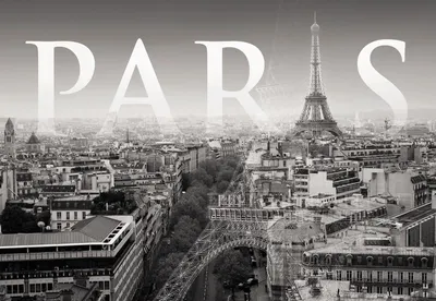 Париж: конец цветочным кафе не за горами? Мэрия хочет регулировать эти  украшения - Sortiraparis.com