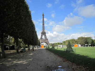 Париж переоценён? Факты и стереотипы самого популярного в мире города — Всё  об эмиграции