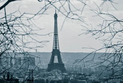 отдых во Франции зимой | Christmas in paris, Eiffel tower, Tour eiffel