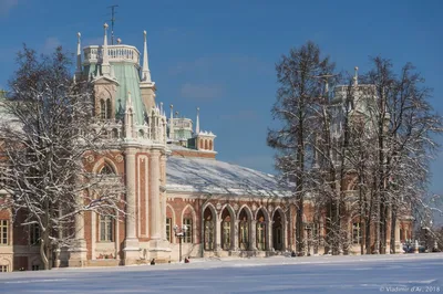Парк Царицыно зимой (46 фото) - 46 фото