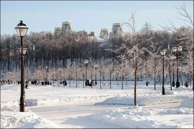 Усадьба Царицыно зимой — 58 фото