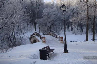 2 часа для москвича ( Царицыно зимой) — рассказ от 23.01.15