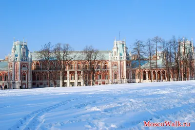 Прогулка по зимнему парку Царицыно - MoscoWalk.ru - Прогулки по Москве |  Парки