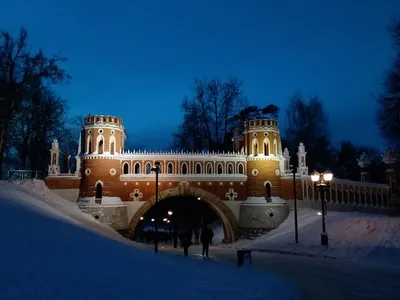 Зимний парк \"Царицыно\" в Москве | Разнотравье | Дзен