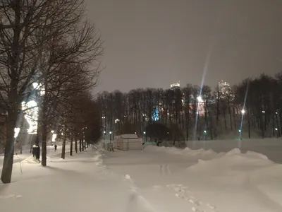 Москва. Парк Царицыно в декабре.