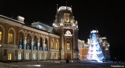 Прогулка по зимнему парку Царицыно - MoscoWalk.ru - Прогулки по Москве |  Парки