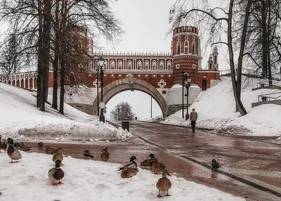 Вечернее Царицыно зимой