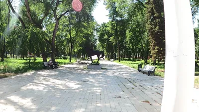 Лучшие парки Воронежа