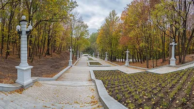 Самое уютное место в городе». Какими были парки Воронежа в советские годы –  Новости Воронежа и Воронежской области – Вести Воронеж