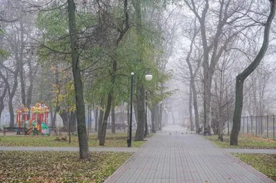 Новые скверы и парки появятся в Воронеже