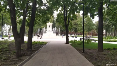 Александр Гусев показал, как будет выглядеть воронежский парк Патриотов  после реновации