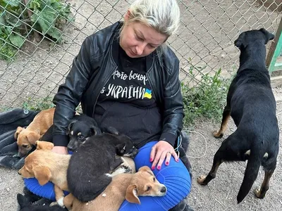 Пропала собака Паша, шпиц, Уфа | Pet911.ru