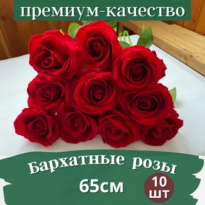 Отчего керрию зовут пасхальной розой, и чем вообще хороша пленифлора, кроме  того что потрясающе выглядит | Культурная флора | Дзен