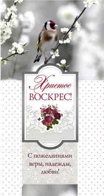 Открытка 10х20 - Христос воскрес! (двойная) - христианские пасхальные  открытки - Издательский дом Христофор