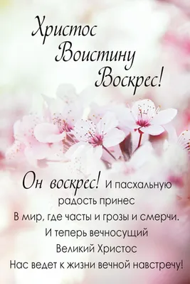 Пин от пользователя Wiktoria на доске День народження і нетільки |  Христианские цитаты, Пасхальная открытка, Христос