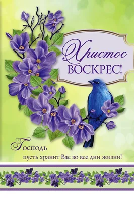 Пасха 2023 года: яркие картинки и душевные поздравления к светлому  празднику - МК Волгоград