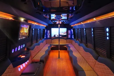 What to use your Party Bus for | 540 Party Bus