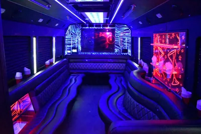 20 Passenger Party Bus