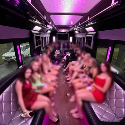 Party Bus Tiffany 40 - Bigelow Limousine