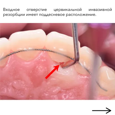 Клинический случай. Работа №1