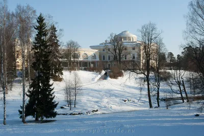 Павловск зимой фото