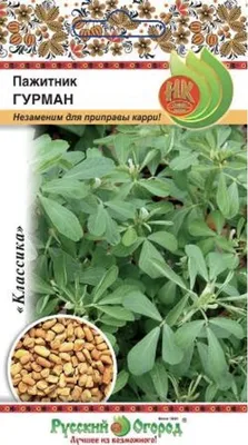 Купить пажитника семена 1 кг. в Екатеринбурге по цене 615 руб. |  Интернет-магазин \"Русский Самодел\"
