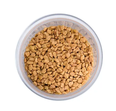 Пажитник сенной семена (Шамбала/Чаман) Weight 0.1kg