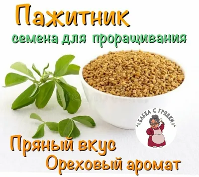 Семена пажитника Trs, 100 г цена | kaup24.ee