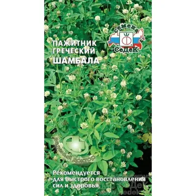 Пажитник Гурман семена 1г купить пакетированные семена | Питомник ВАСХНиЛ