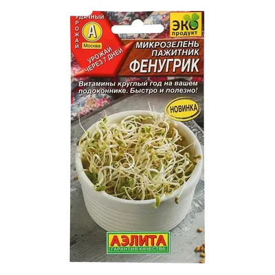 ПАЖИТНИК - ШАМБАЛА семена, Bharat Bazaar, 100 г — купить в  интернет-магазине Индийских товаров в Санкт-Петербурге