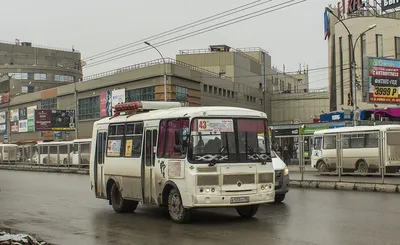 ПАЗ-32054 е123оу - Новосибирск - Фото №126715 - Твой Транспорт