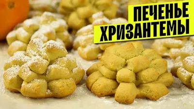 печенье хризантема через мясорубку｜TikTok Search