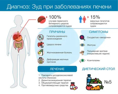 При каких болезнях печени появляется кожный зуд. Как избавиться от кожного  зуда | Все о печени.ру