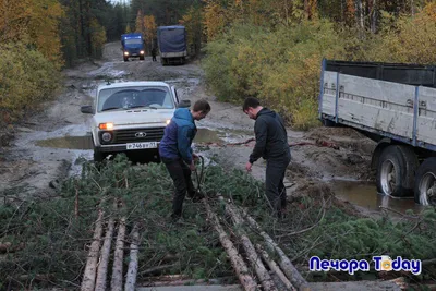 В Коми водители строят мосты из подручных средств, чтоб не застрять в  болоте (фото, видео)