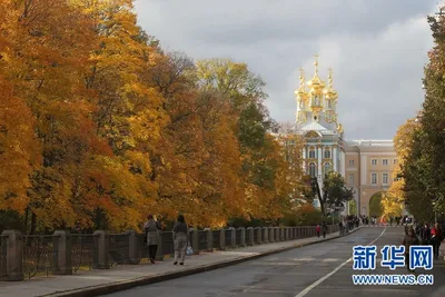 Пейзажи весенне-летнего Петербурга покажут на выставке Павла Еськова «На  невских берегах» | Sobaka.ru