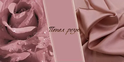 Цвет пыльной розы в интерьере: изящный и деликатный оттенок, создающий  мягкую и уютную атмосферу | Dream house | Дзен