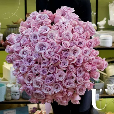 Рулонная штора LEGRAND ДЕКОР ширина 47 высота 175 цвет пепел розы - купить  в Москве, цены на Мегамаркет
