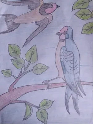 Иллюстрация 12 из 29 для Раскраска. Перелетные птицы | Лабиринт - книги.  Источник: Марина Епифанцева