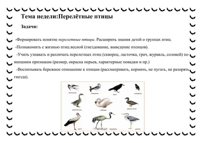 Кабинет логопеда: Перелетные птицы