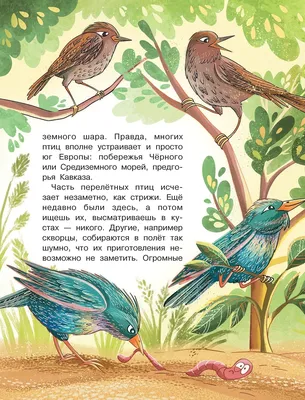 Тетрадь для общения и развития детей \"Перелетные птицы\" СФ-Т-37 в  Москве|CLEVER-TOY.RU