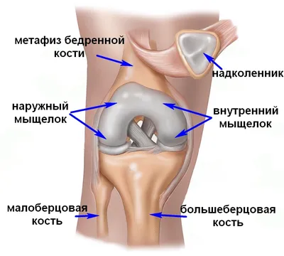 Перелом дистального метаэпифиза лучевой кости (перелом лучевой кости «в  типичном месте») — симптомы, диагностика, лечение в НКЦ№2 (ЦКБ РАН)