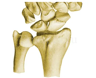 Closed Fractures of the Distal Part of the Shin Bones. Different Types and  Methods of the Treatment in Adolescence. Short Period Results - Dorokhin -  Physical and rehabilitation medicine, medical rehabilitation