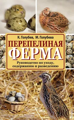 Живая птица (перепела)