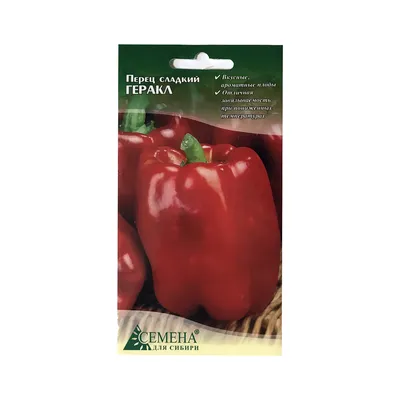 Семена овощей Ивент-плюс перец Геракл – купить в Алматы по цене 170 тенге –  интернет-магазин Леруа Мерлен Казахстан