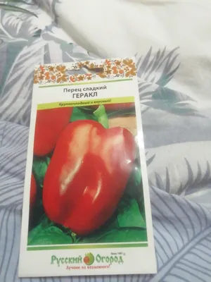 Перец Геракл - Альбомы - tomat-pomidor.com