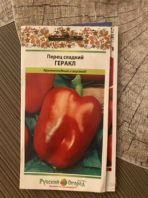 10 сортов сладкого перца для новичков: урожайные и некапризные | На грядке  (Огород.ru)